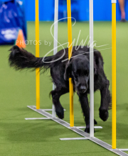 2025-10-12-BANDA-SUN-1133