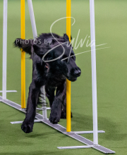 2025-10-12-BANDA-SUN-1142