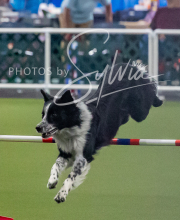 2025-10-12-BANDA-SUN-1146