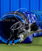 2025-10-12-BANDA-SUN-1148