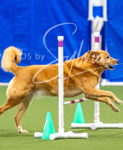 2025-10-12-BANDA-SUN-115