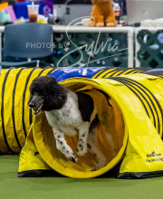 2025-10-12-BANDA-SUN-1158