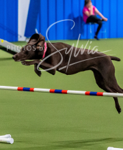 2025-10-12-BANDA-SUN-1169