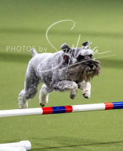 2025-10-12-BANDA-SUN-1170