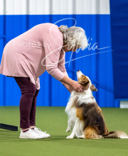 2025-10-12-BANDA-SUN-1176