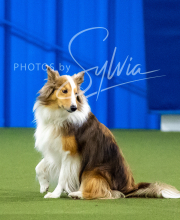 2025-10-12-BANDA-SUN-1177