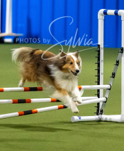 2025-10-12-BANDA-SUN-1178