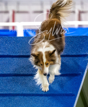 2025-10-12-BANDA-SUN-1181