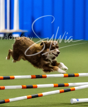 2025-10-12-BANDA-SUN-1183