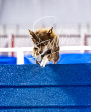 2025-10-12-BANDA-SUN-1185