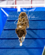 2025-10-12-BANDA-SUN-1186