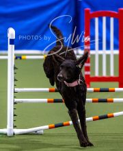 2025-10-12-BANDA-SUN-1189