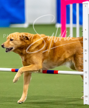 2025-10-12-BANDA-SUN-119