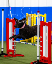 2025-10-12-BANDA-SUN-1192