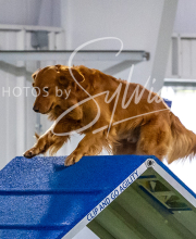 2025-10-12-BANDA-SUN-1194