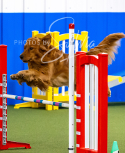 2025-10-12-BANDA-SUN-1197