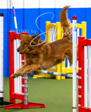 2025-10-12-BANDA-SUN-1198