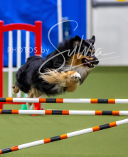 2025-10-12-BANDA-SUN-1199