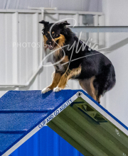 2025-10-12-BANDA-SUN-1203