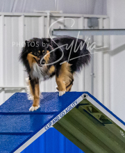 2025-10-12-BANDA-SUN-1205