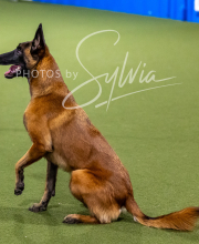 2025-10-12-BANDA-SUN-1207