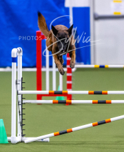 2025-10-12-BANDA-SUN-1209