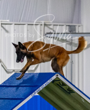 2025-10-12-BANDA-SUN-1211