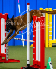 2025-10-12-BANDA-SUN-1213