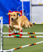 2025-10-12-BANDA-SUN-1216