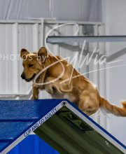 2025-10-12-BANDA-SUN-1218