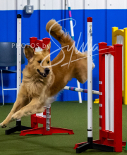 2025-10-12-BANDA-SUN-1221