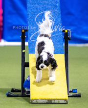 2025-10-12-BANDA-SUN-1222