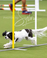 2025-10-12-BANDA-SUN-1227