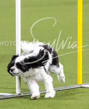 2025-10-12-BANDA-SUN-1229