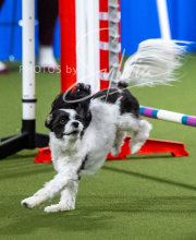 2025-10-12-BANDA-SUN-1232