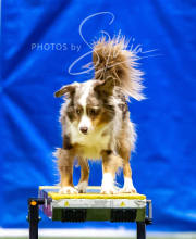 2025-10-12-BANDA-SUN-1234