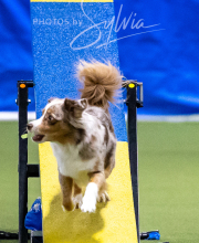 2025-10-12-BANDA-SUN-1237