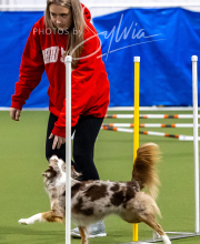 2025-10-12-BANDA-SUN-1241