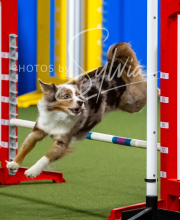 2025-10-12-BANDA-SUN-1243