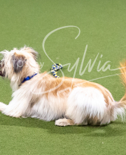 2025-10-12-BANDA-SUN-1244