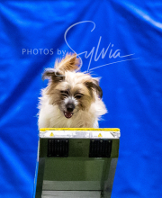 2025-10-12-BANDA-SUN-1245