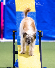 2025-10-12-BANDA-SUN-1246