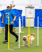 2025-10-12-BANDA-SUN-1252