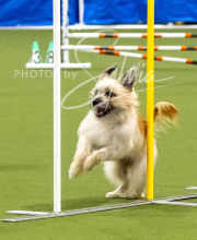 2025-10-12-BANDA-SUN-1257