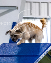 2025-10-12-BANDA-SUN-1259