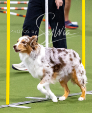 2025-10-12-BANDA-SUN-1269