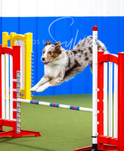 2025-10-12-BANDA-SUN-1272