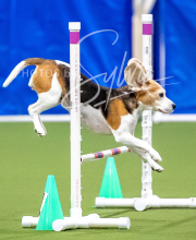 2025-10-12-BANDA-SUN-128