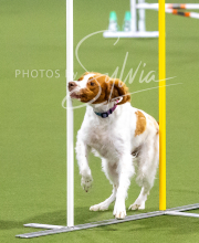 2025-10-12-BANDA-SUN-1282