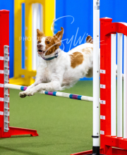 2025-10-12-BANDA-SUN-1284